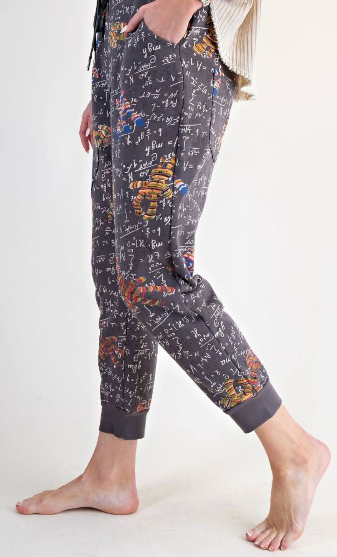 Sock Monkey Equation Joggers