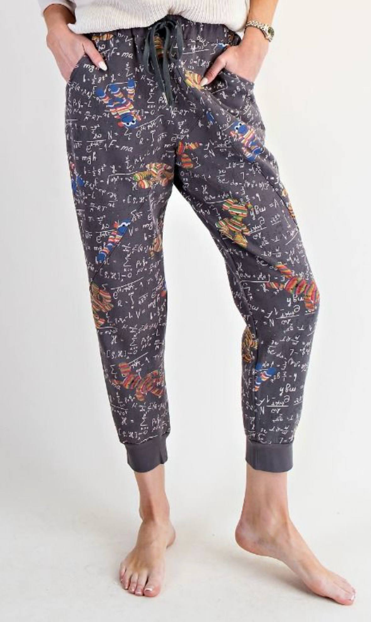 Sock Monkey Equation Joggers